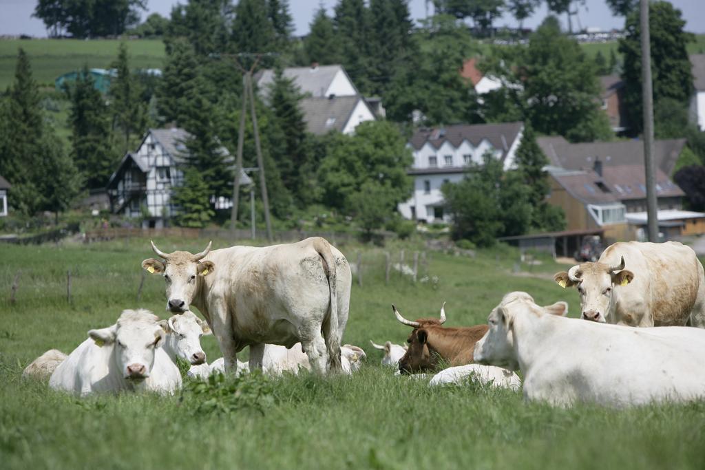 Schultenhof Balve Bagian luar foto